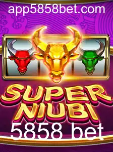 SuperNiubi: A Revolução no Mundo dos Jogos de Aposta